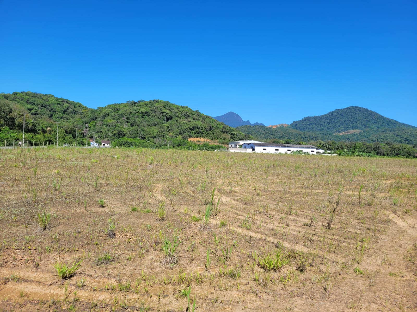 Visita ao terreno da futura subastação Vila Nova 2