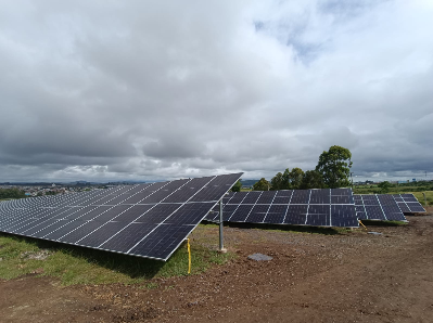 Semana do Meio Ambiente: conheça projetos da Celesc voltados para a sustentabilidade