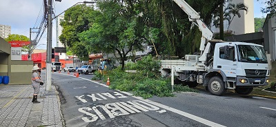 Celesc e prefeitura de Blumenau fortalecem parceria para serviços de poda e roçada na cidade