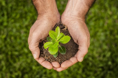 Dia do Meio Ambiente: Medidas de eficiência da Celesc trouxeram economia equivalente ao consumo anual de cerca de 1,5 milhão de residências