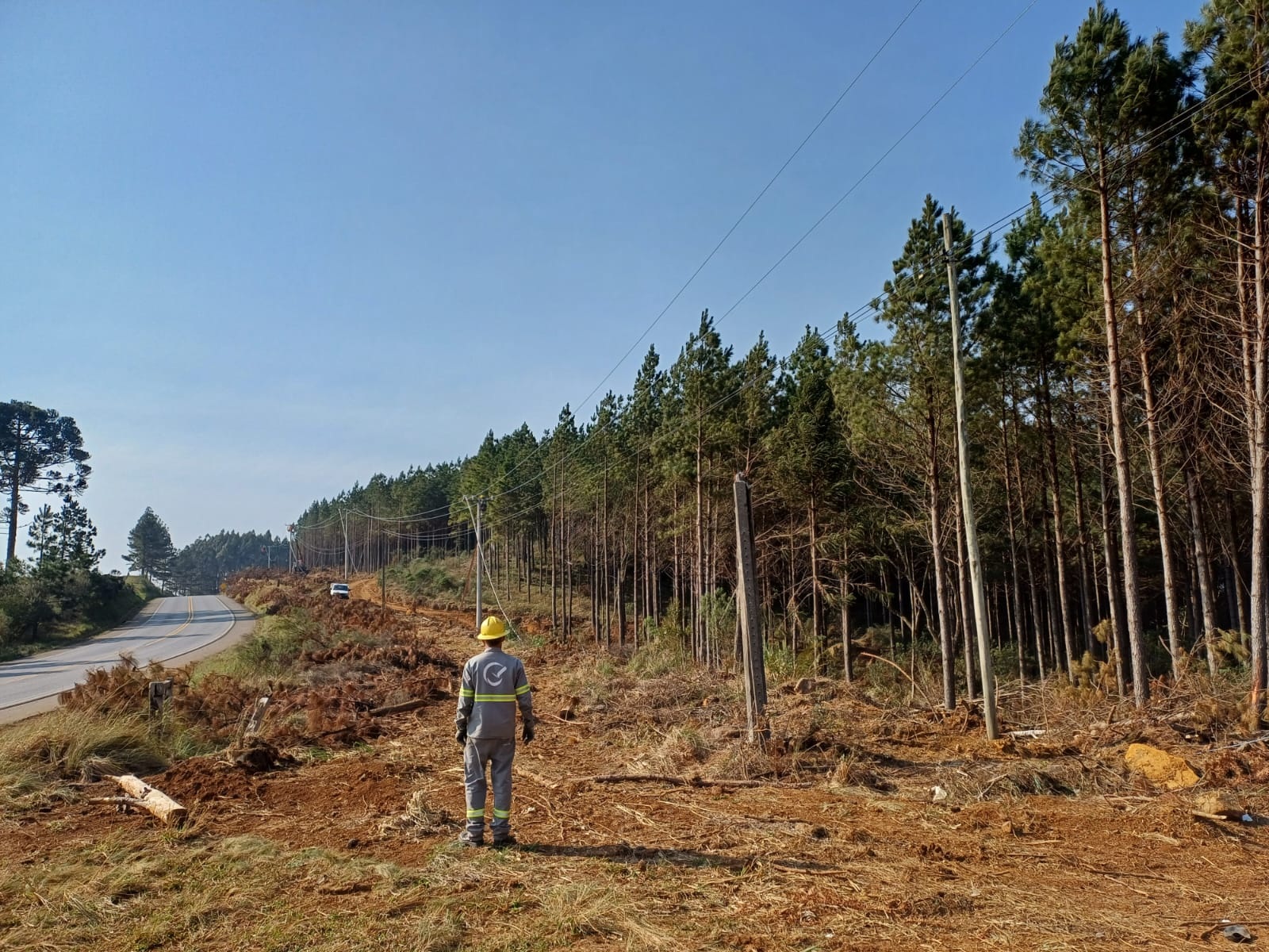 obras em videira