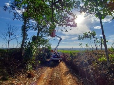 Celesc reforça alerta para perigos e danos da vegetação na rede