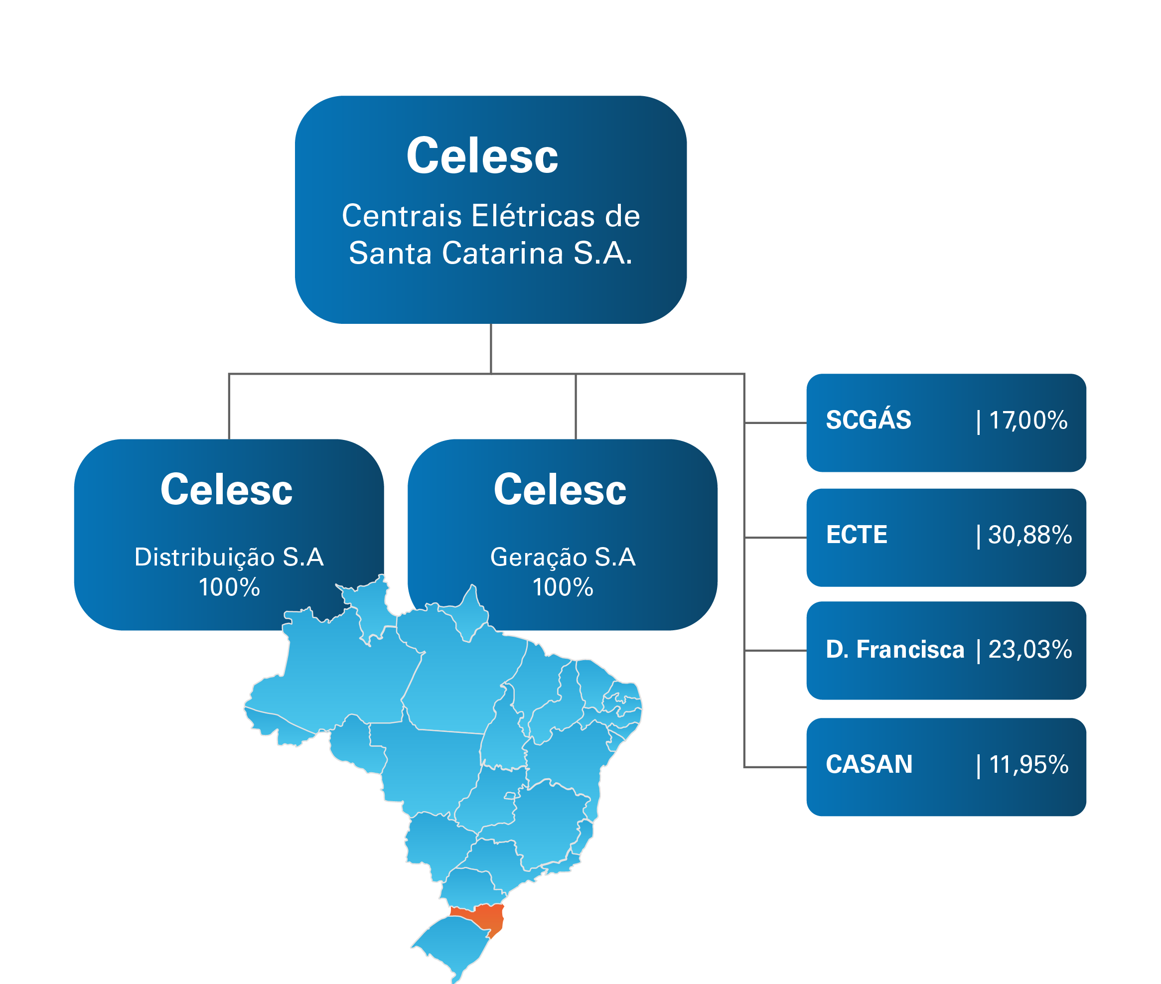 holding grafico