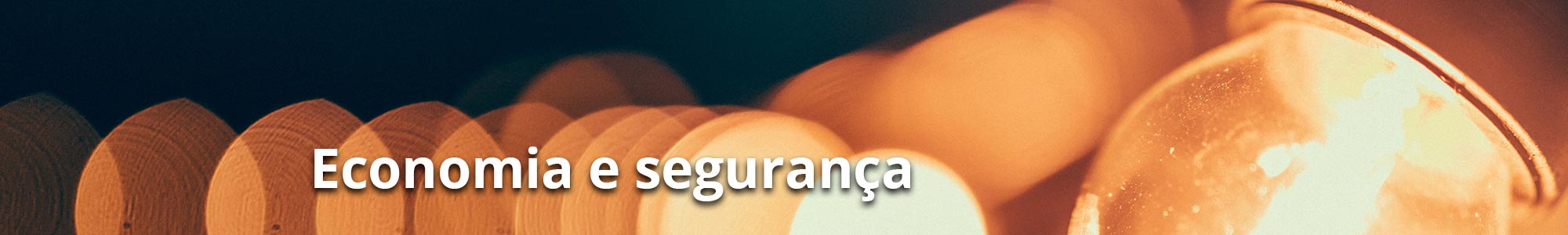 economia seguranca novo