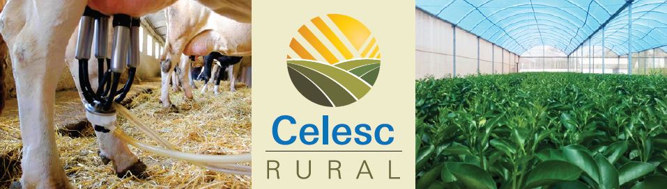 celesc rural