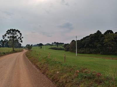 Celesc investe R$ 30 milhões em melhorias no sistema elétrico do Planalto Serrano