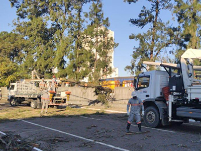Ciclone: Celesc restabelece sistema para cerca de 1 milhão de unidades