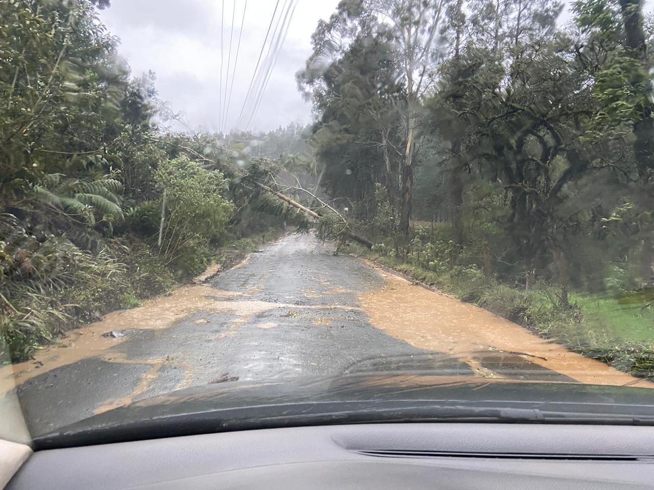 equipes celesc ciclone 1